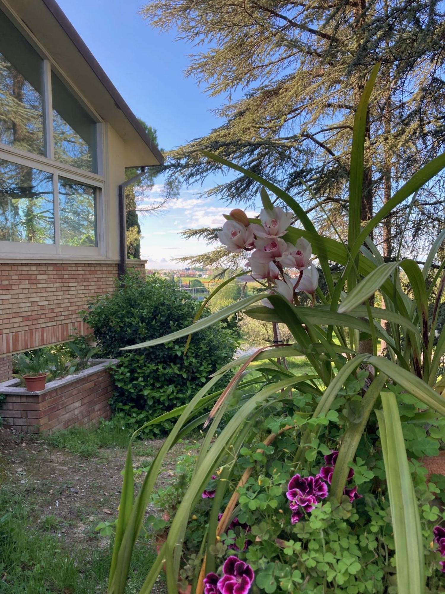 B&B Mama Ro Cesena Kültér fotó